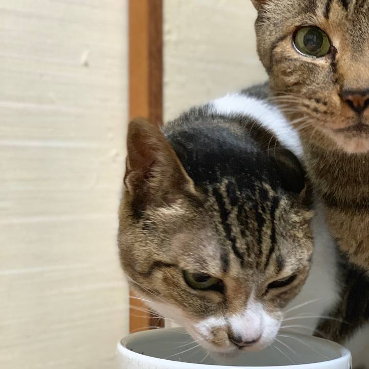 1629a3a7 da06 48d7 9e78 a0ce04f6fbed 1594170606985