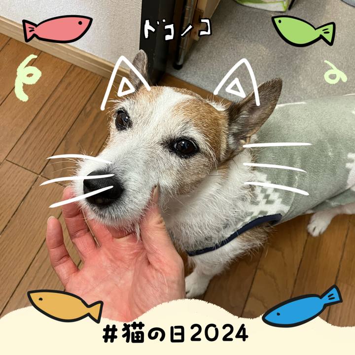 1629b4bd 3447 4782 91dc a8a6cfb09b20 1708558394424