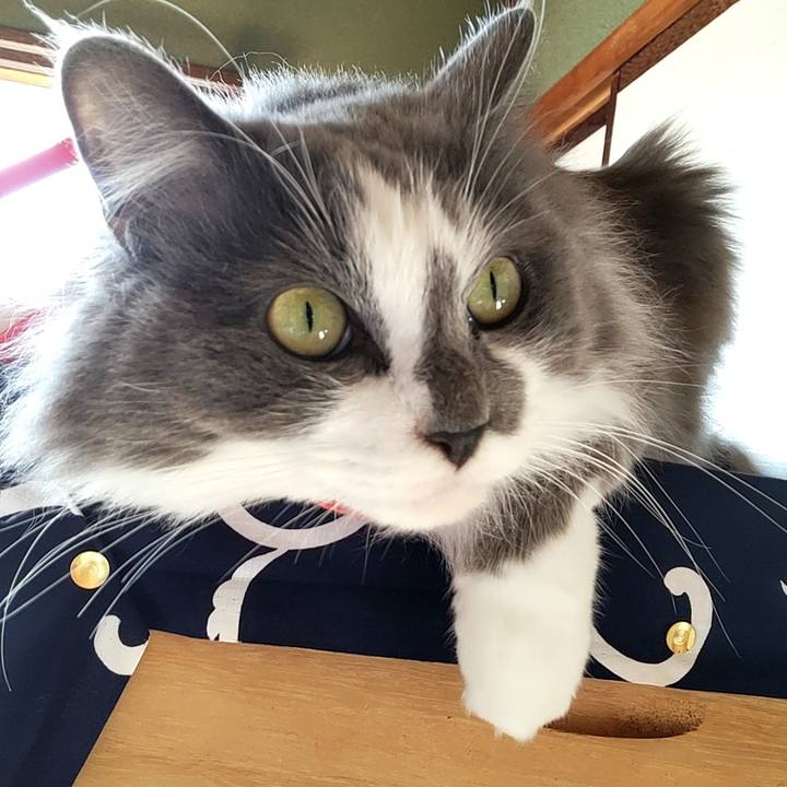 1629e46d 70e0 4905 8e4c a52231d3030f 1703911228146