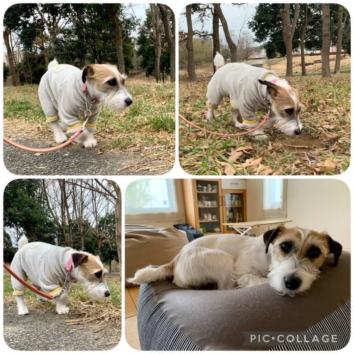 1629ebd5 e26a 4945 a872 54fef5dc61f8 1614327603103