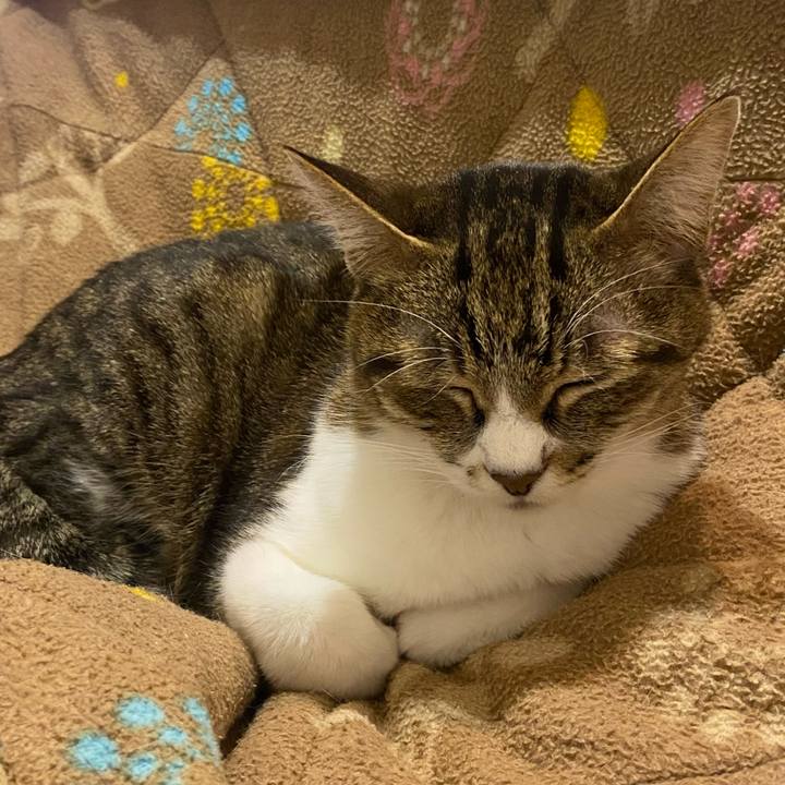 1629fb7d b1ce 4ac7 88c6 cf164edda69a 1644681206728