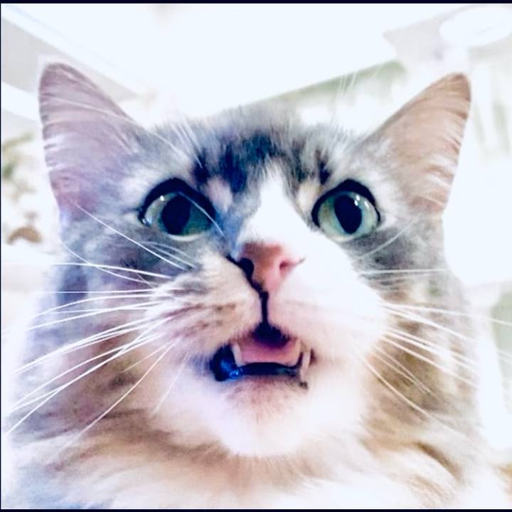 162a05ac fbe8 410c 89d2 f1f25877b2f4 1722787958257