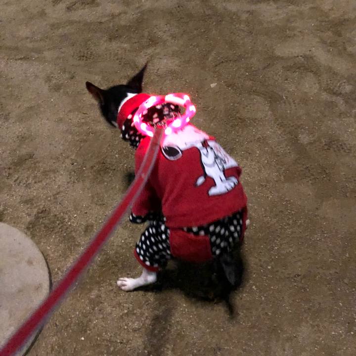 162a2469 43a2 4212 9848 c6dda7b8733e 1547733082167