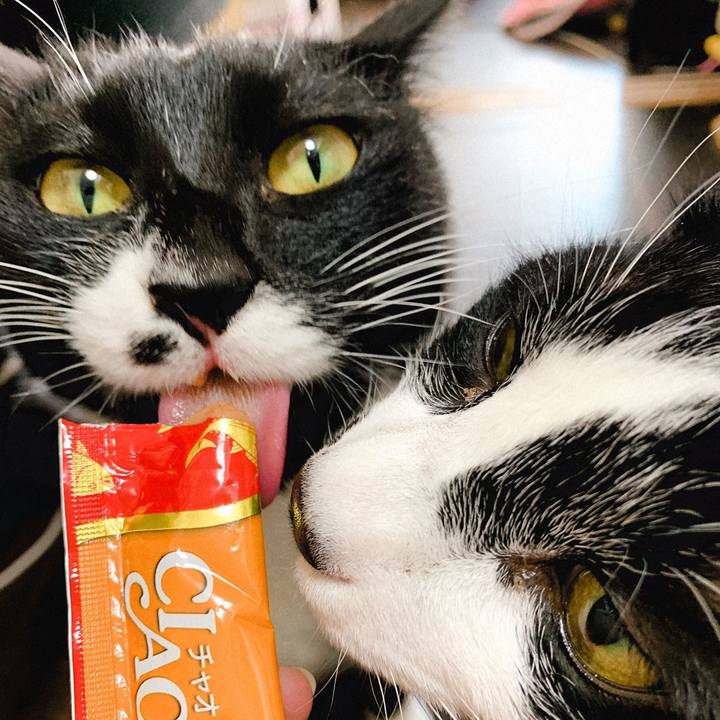 162a3689 3474 42a5 83a9 579881e98af3 1553434908980