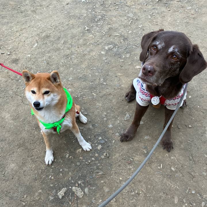 162a3a27 1239 4e72 bb0f ec106248645c 1770364628865