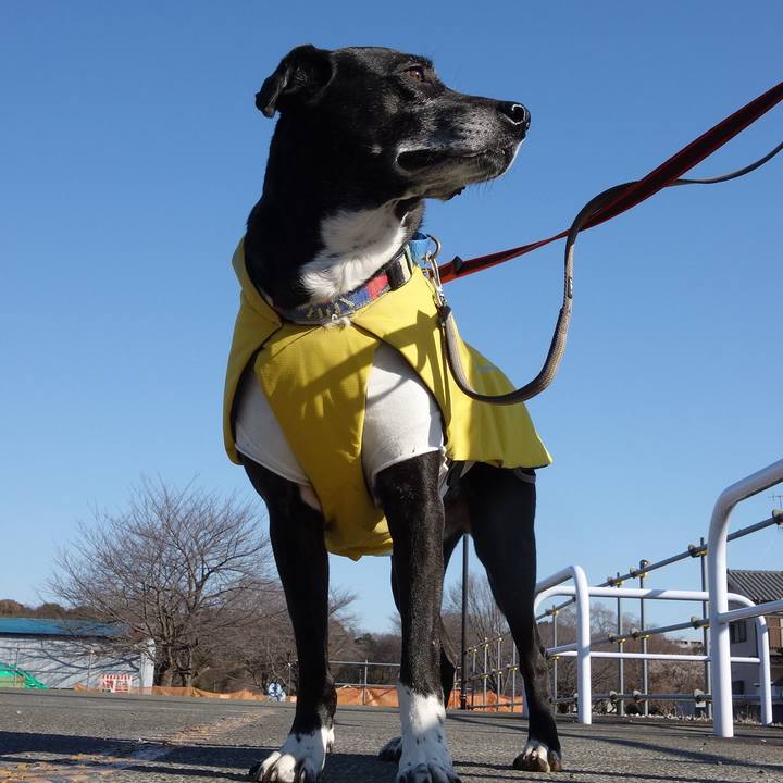 162a766f 4c49 4e4a a858 3449bfcf049f 1741567845048