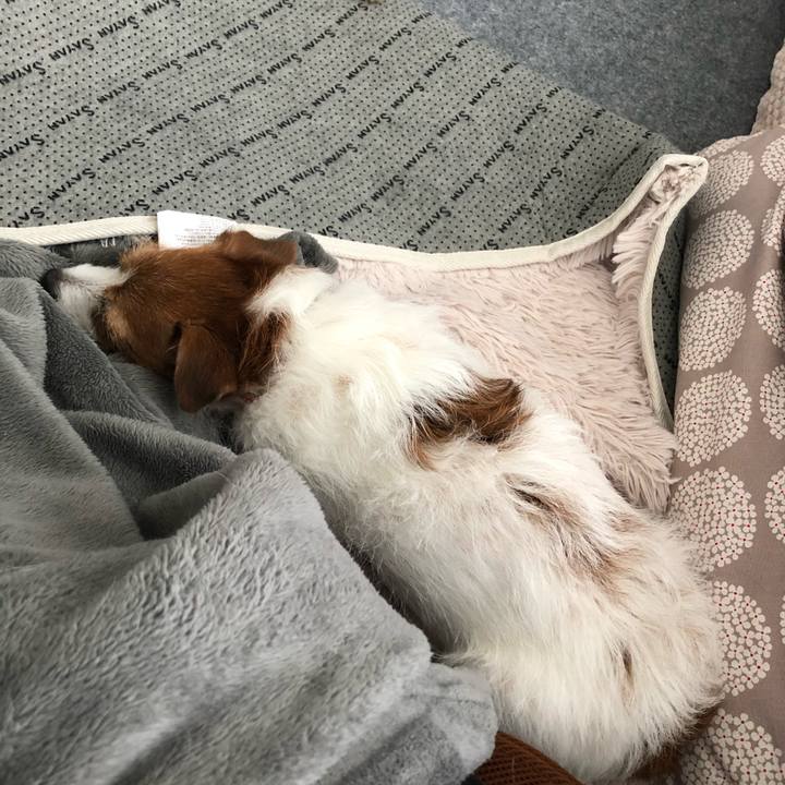 162a88fa 3d3b 4330 8a86 ab27050b1abc 1616581036649