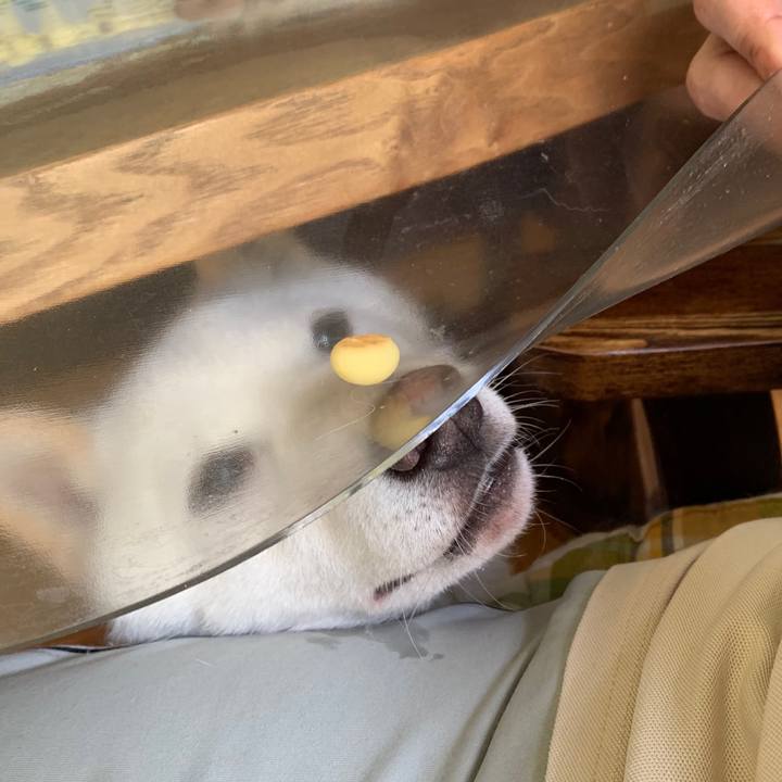 162a8a3b 2a12 4dfe b2fd 7b987d637cd6 1561671497294