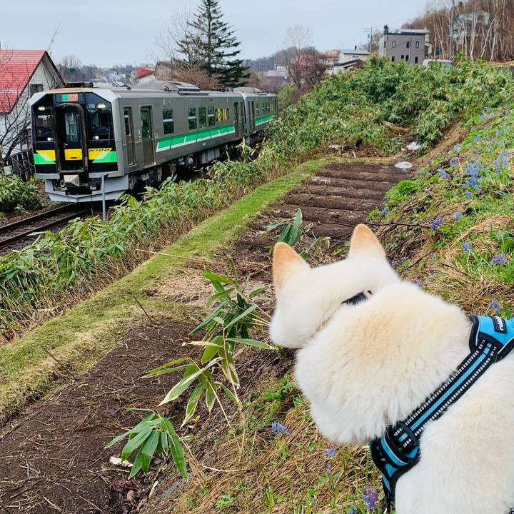 162aa81d d6c7 4738 b2d3 a76a6813f6f3 1681857307982