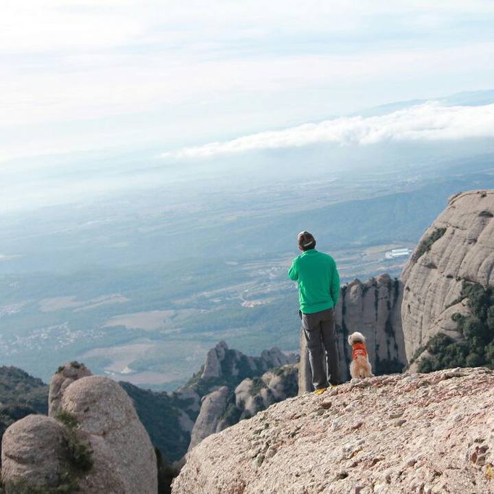 162ab001 9f6d 4ad7 a30d 55018f8f7361 1579275756155