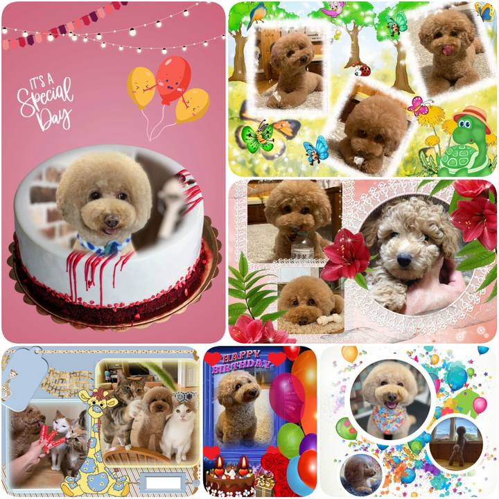 162b1dfa 51cc 49cc 9421 14f3b42352e5 1633468964846