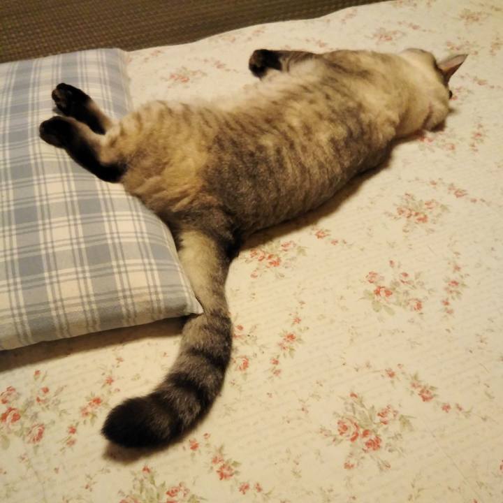 162b2807 aad4 4dca b73f f3945ee11d01 1599997013014