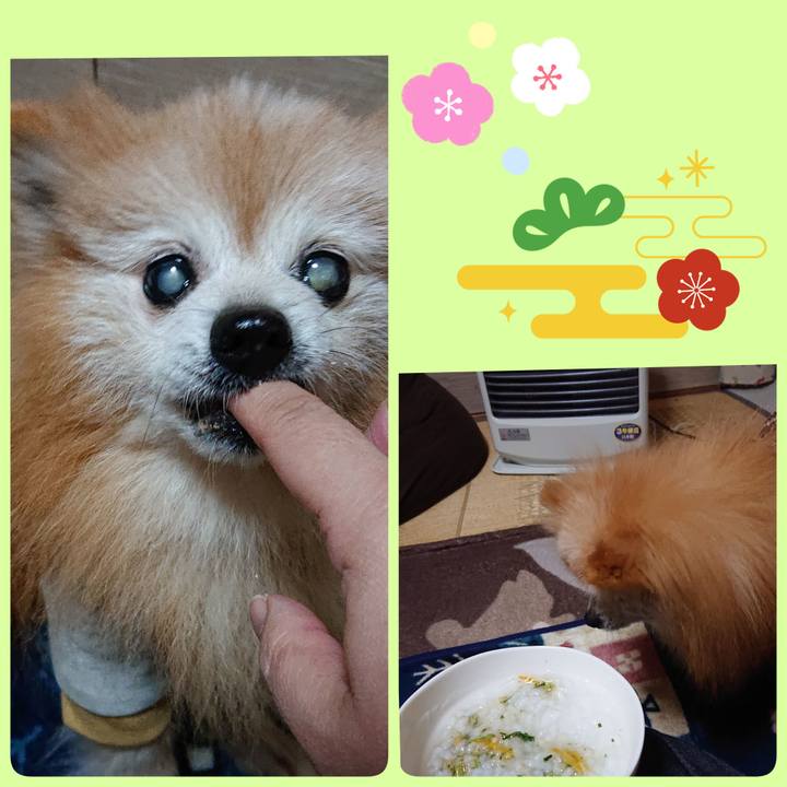 162b2bc8 10e5 43b2 9e44 33a267b17674 1704603329547