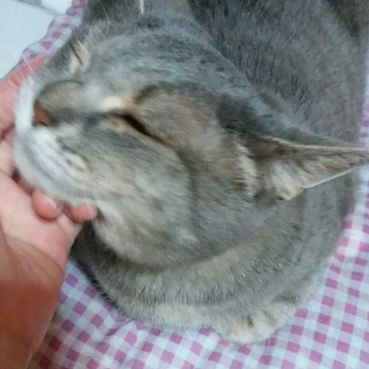 162b317d a162 42db 951f 9711c7da326f 1591875972281