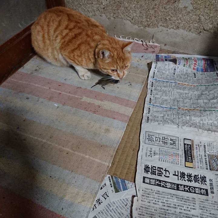 162b6373 adb7 4ea5 9808 677c4ed11280 1585997967130