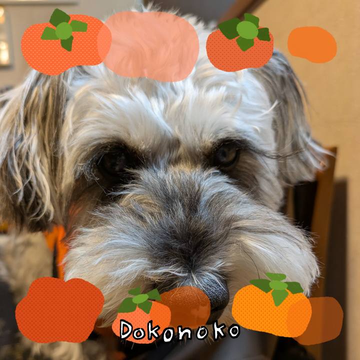 162b6c71 ffcc 4ac6 9380 f722c1848de1 1761661421198