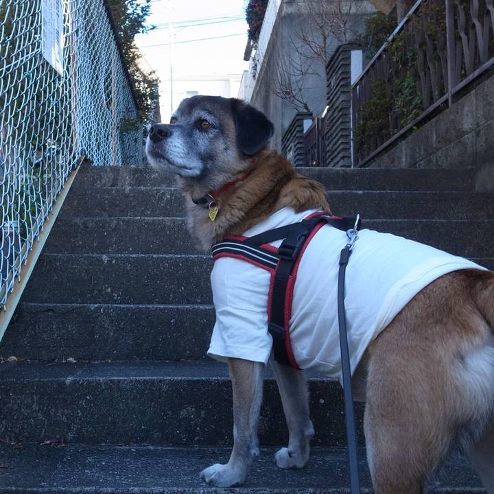 162c1556 5c3f 49a4 94a5 e447368c4d7e 1594898389904