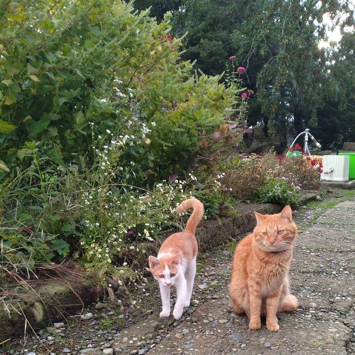 162c5a3d 0fe5 406d 9559 6a006c73bd67 1728462345764