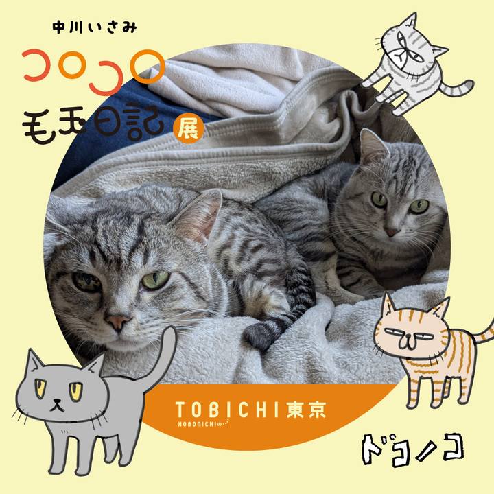 162c5d58 a248 46e1 a865 c7f42c3c1da4 1740147259234