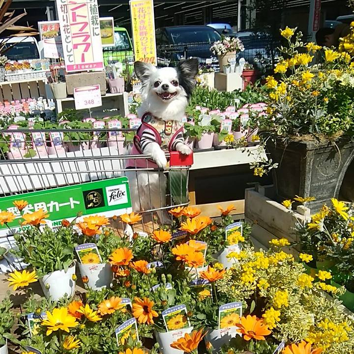 162c8449 1bf6 4cbb 8706 8f290a2a068c 1520081963852