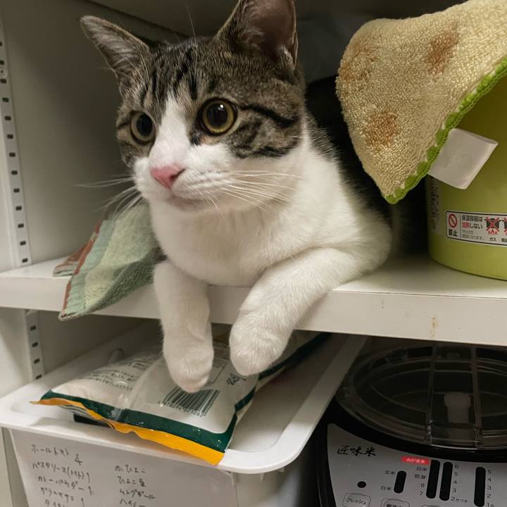 162c9a67 b644 48bc 92a6 ee3b1bf6b0c2 1733412764835