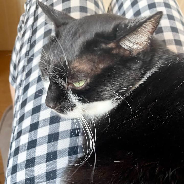 162c9eca ace5 4c78 b247 c9421af5ee42 1755816504176