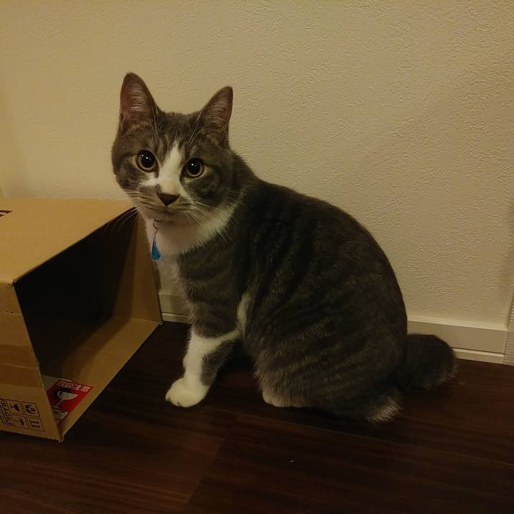 162c9fd5 72a7 4389 bdf6 1102f2d7c50d 1578238661134