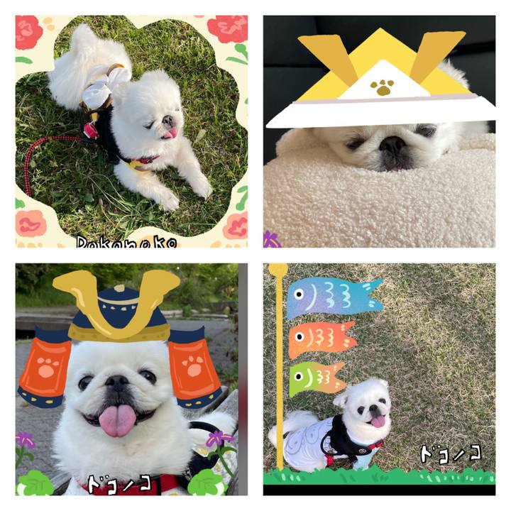 162caf15 407f 4307 a63b 5ceaef4419e7 1715131275022