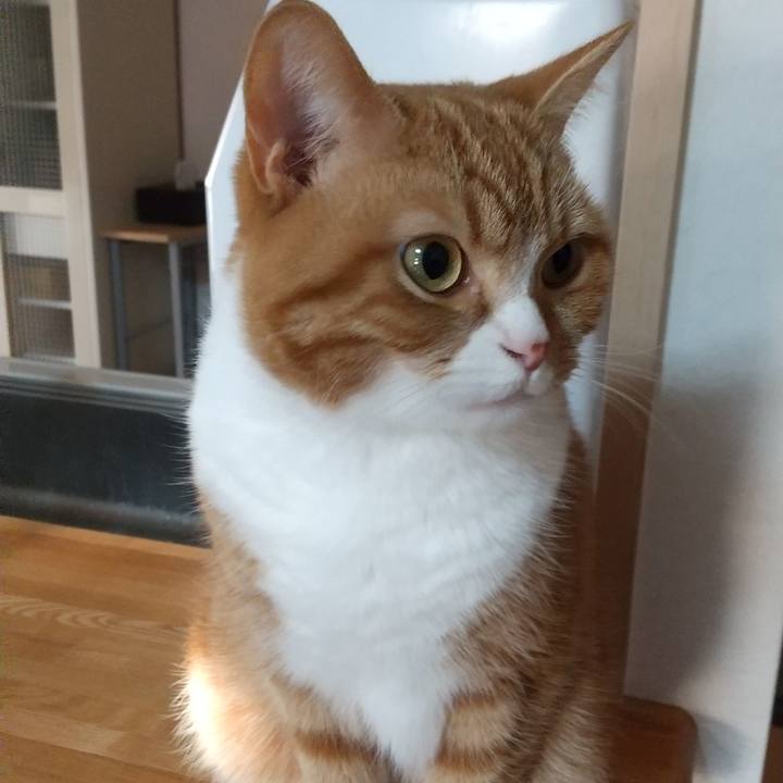 162cc02f 8bde 473c a822 9f4e74c08695 1675654812268