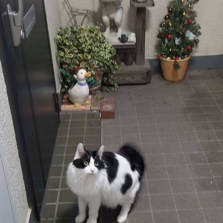 162cc6e8 967b 420e 885a 4f3816b11175 1577091786118