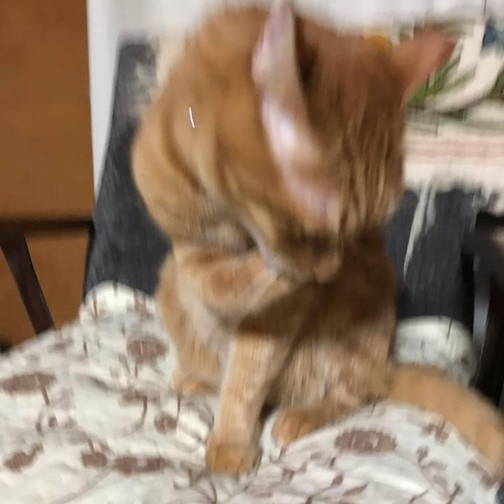 162cd22b a36a 4710 b52c 3e5b4a429265 1553500281089