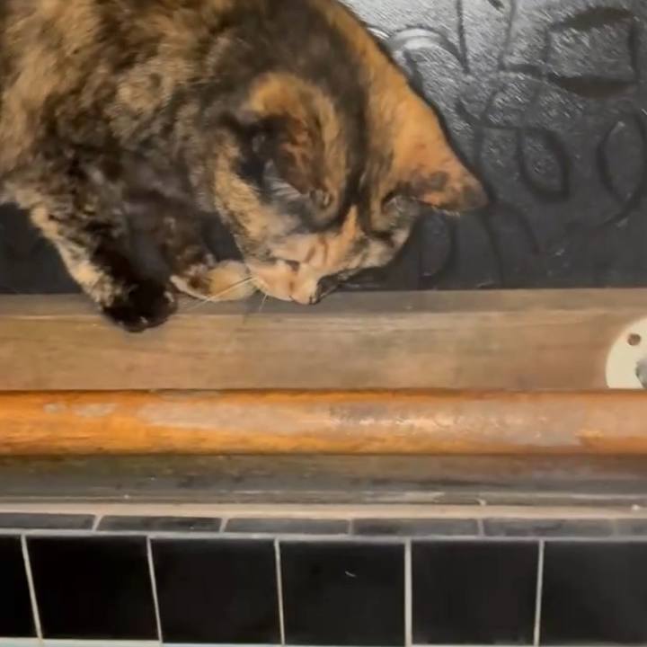 162cd2d1 df62 4675 9446 c4bd315ec7c0 1766435401549