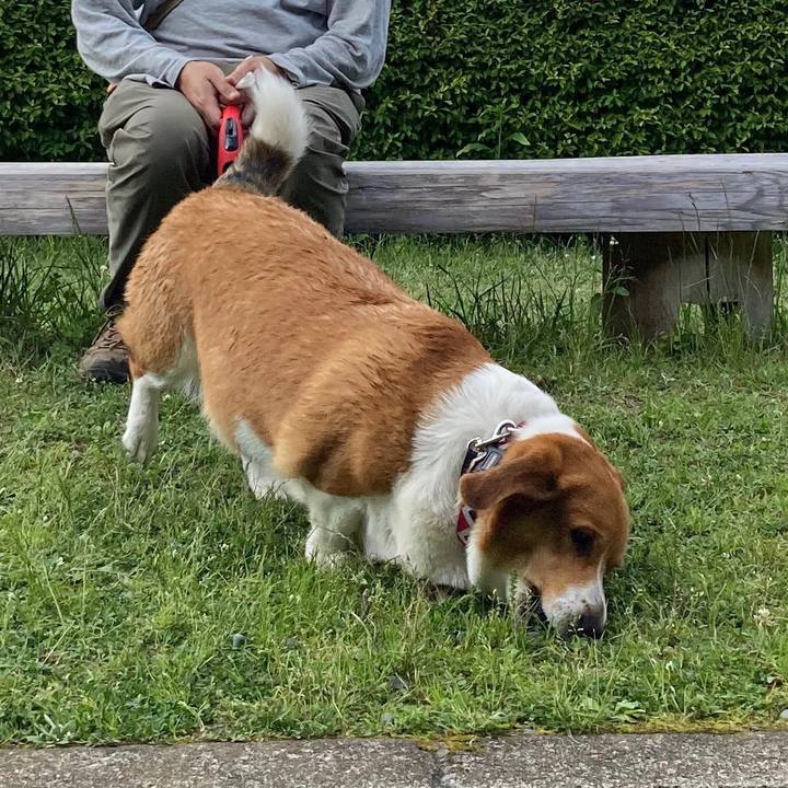 162cf0e2 9f7d 47fe 926b aa02930c15fd 1653269513528