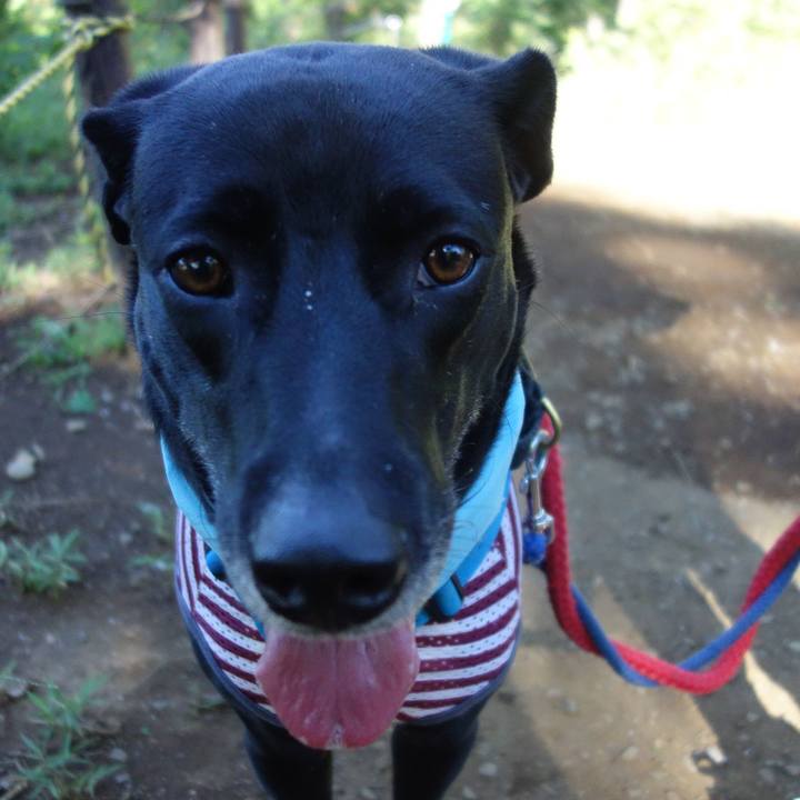 162d0158 12b7 4f01 8242 1e7a038c144f 1628554575447