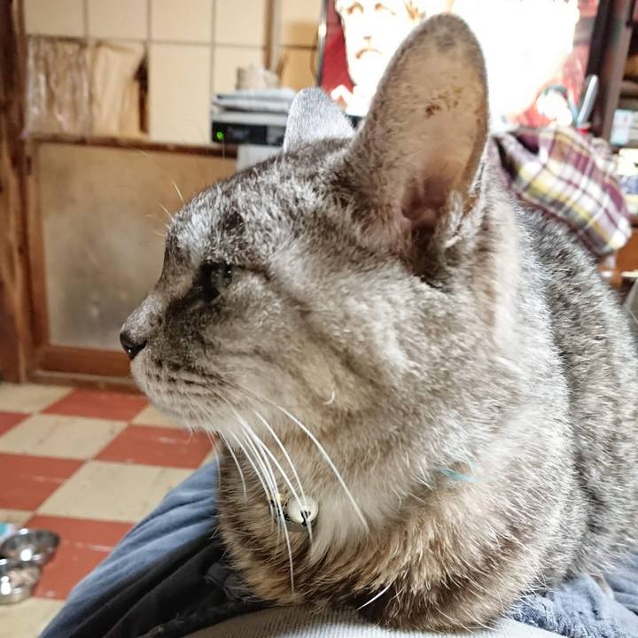 162d05d3 2f1d 46dd 9bac 1e1a60748b10 1604749624092