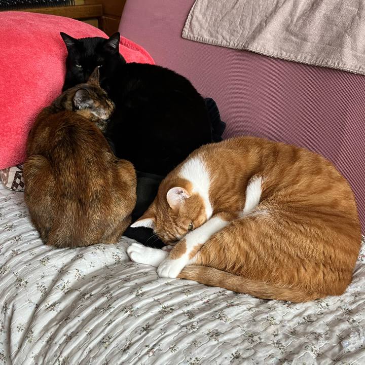 162d17f5 cb05 4553 b5fe 9765f71289d7 1739249299396