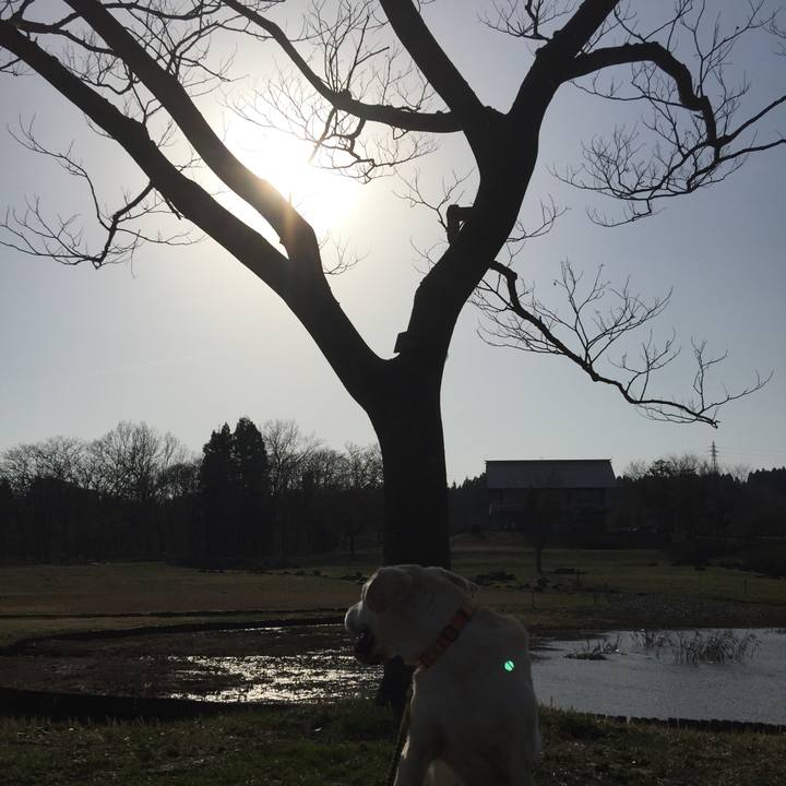 162d4329 4145 4cdd 9014 b7ce40560dcf 1522741240093