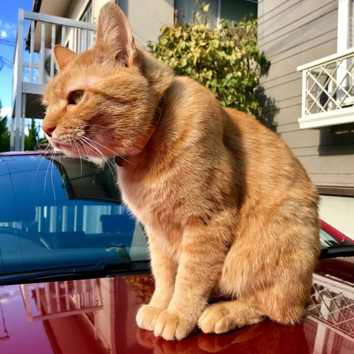 162d70a2 b996 4c30 a5fb 41e4240314e7 1514945882078