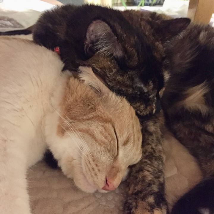 162d7dfd b5b8 42a2 ae5e f5e4a4d9d886 1615568986447