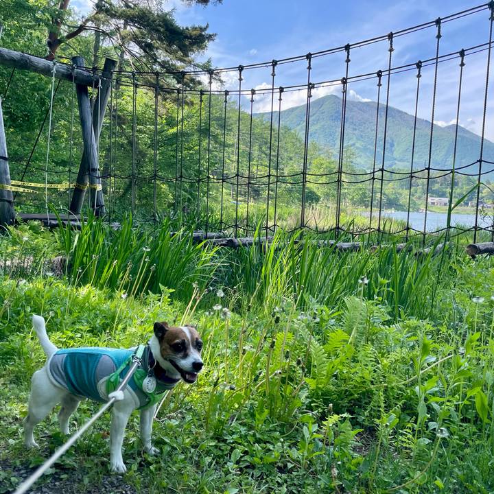 162d7e90 e5c9 4151 8071 2dd0893ecd8c 1749276455775