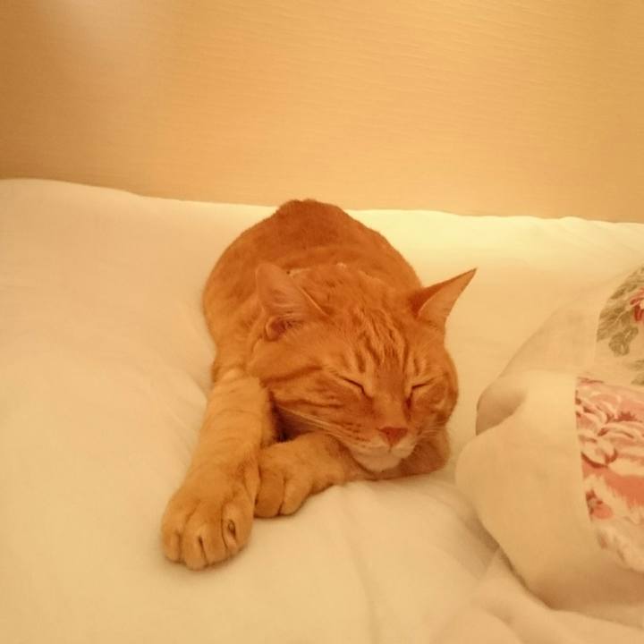 162d8c23 8ff4 4cf5 9afa 8931563d7729 1530407952418