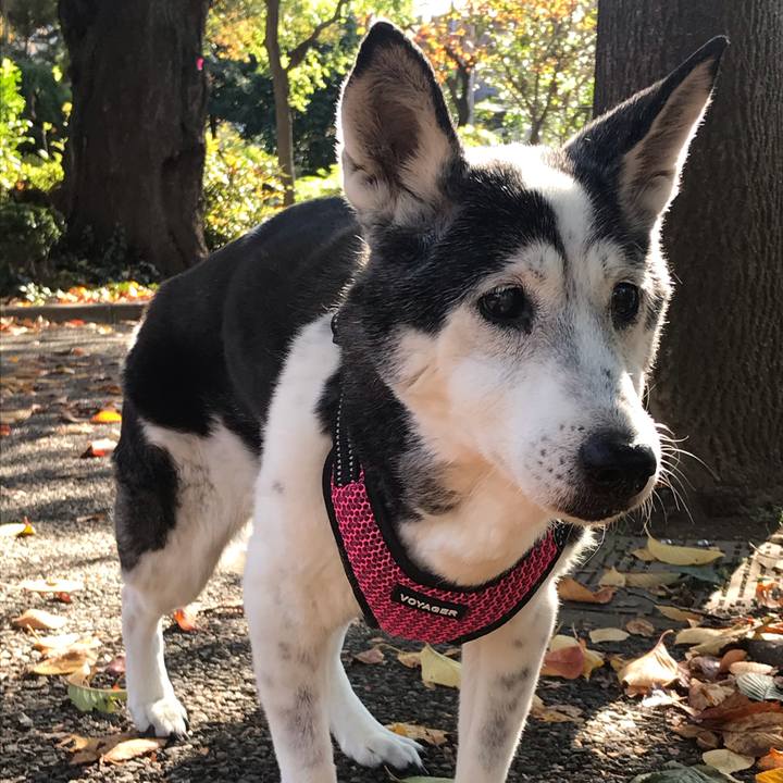 162d998d 2741 489a b4c4 69640480c414 1605098217390