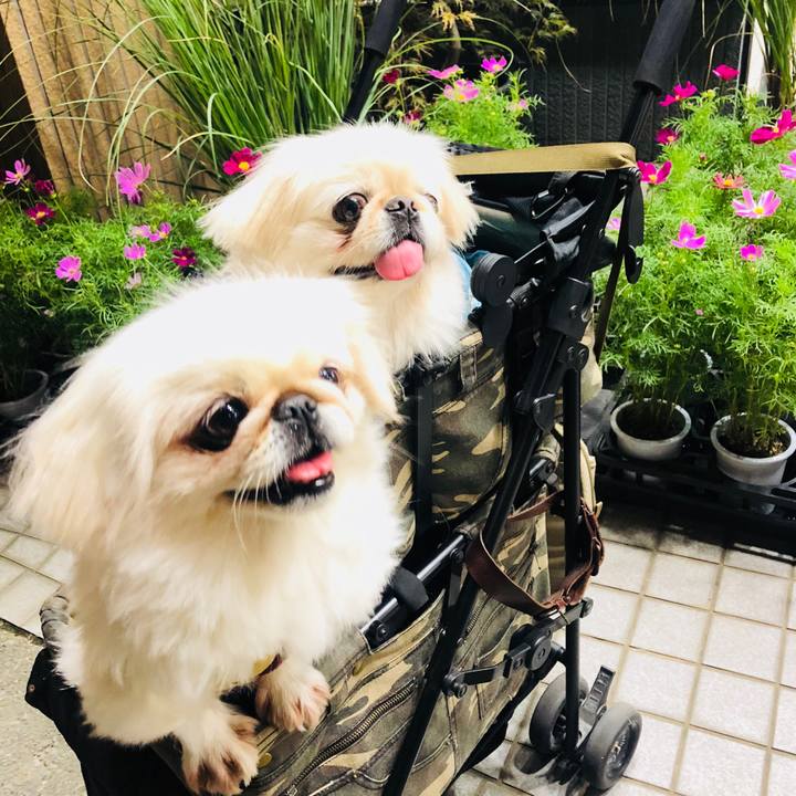 162daa4a 8ab8 4c2b 8873 15f0fa821e98 1569666200519