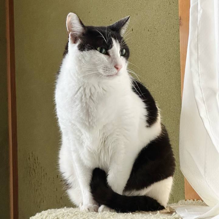 162db600 d323 44a5 a1a3 4edb39553422 1664331911641