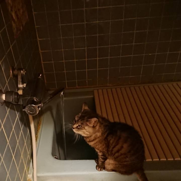 162dcce2 de77 49ab ad87 87e44c60dc27 1570270904276