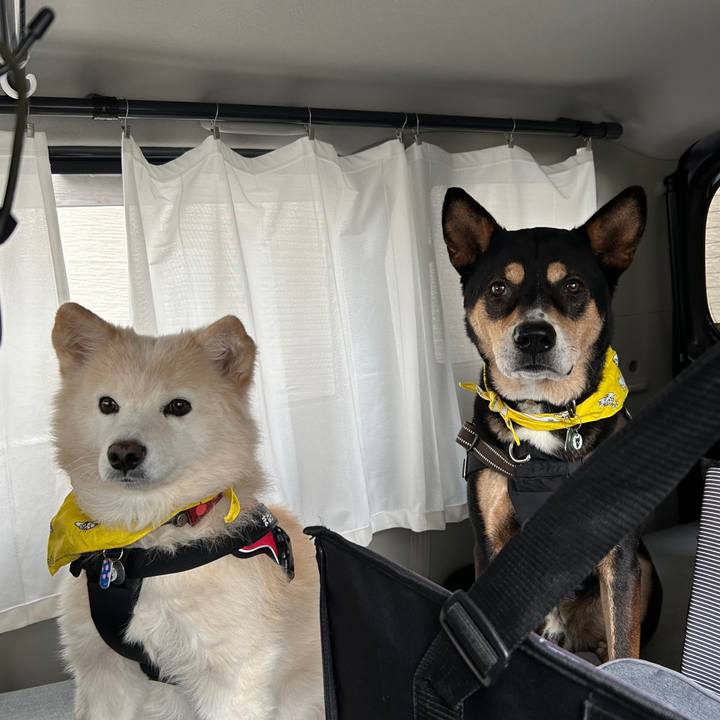 162df828 390a 4d02 8481 ca6d114ae811 1731422493900