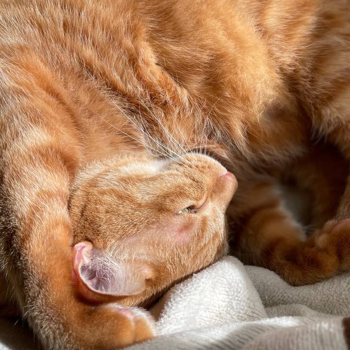 162e2c6b 6ee8 4df9 a9f7 3c4837b4f79a 1667691369970