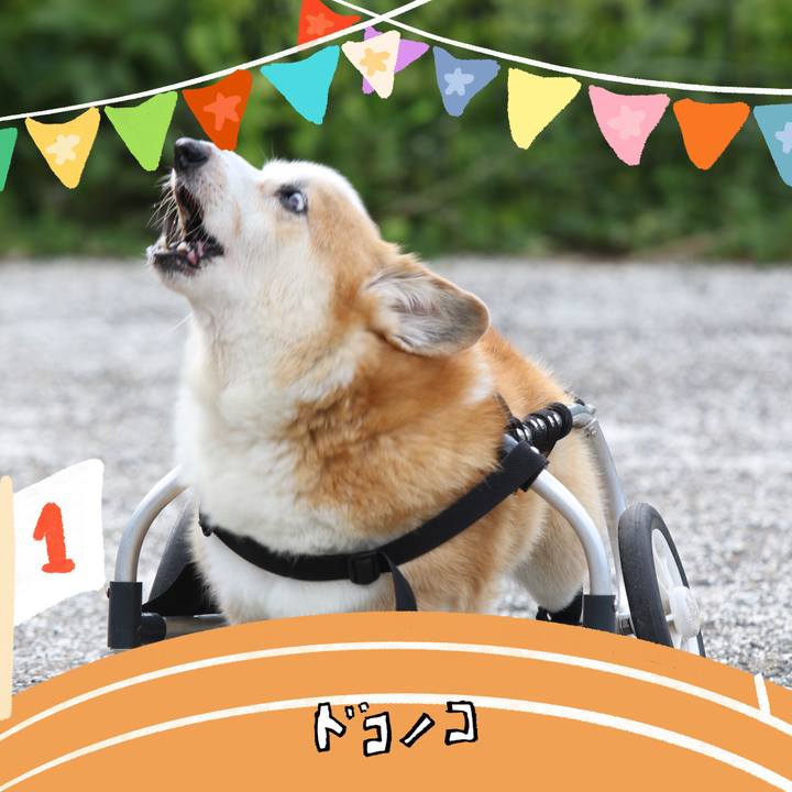 162e369d 41ae 4d0b 83c4 95642fe31d2f 1761345971793