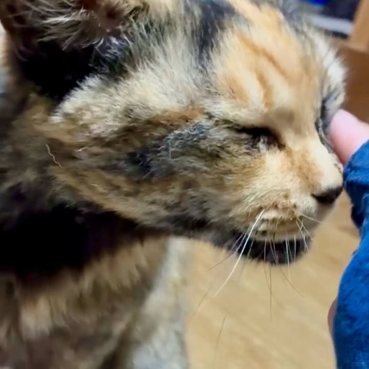 162e6af2 495e 4024 983b 7a08e1ae1be4 1749503532778