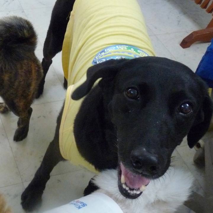 162e859e 18b5 4742 9404 b2c33b699f91 1599658817527